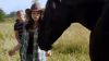 Midnight-Stallion-HD-ScreencapsBJ_057.jpg