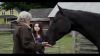 Midnight-Stallion-Trailer-ScreencapsBJ_007.jpg