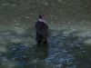 Pictures_of_Hollis_Woods__DVD_Screencaps_BJ_00958.jpg