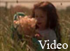 beginning.flv