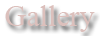 Image Gallery